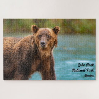 Puzzle Ours brun du parc national de Lake Clark
