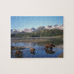 Puzzle Ours brun, ours grizzly, truie et oursons dans