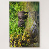 Puzzle Ours brun & ourson | Hyder, Alaska (Vertical)