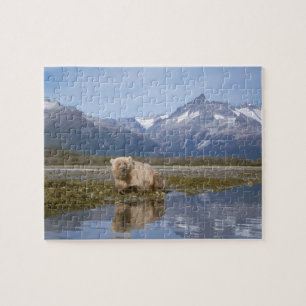Puzzle ours brun, Ursus arctos, grizzly, Ursus 4