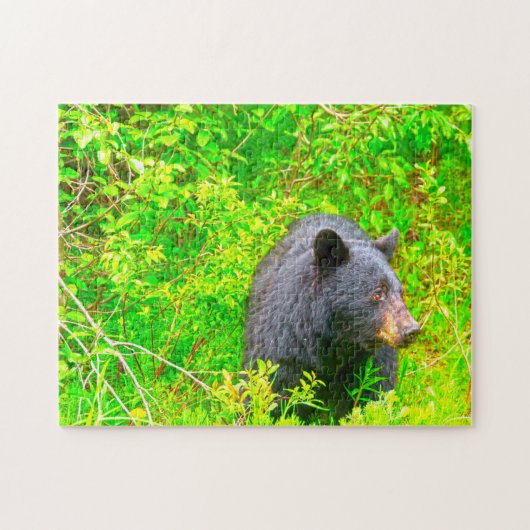 Puzzle Ours Bruns Canadiens. (Horizontal)