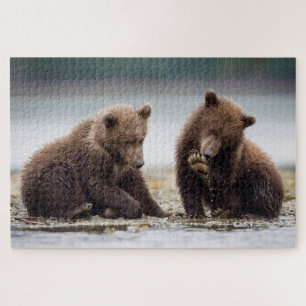 Puzzle Ours bruns oursons au bord du ruisseau