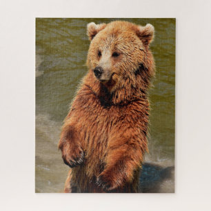 Puzzle Ours Bruns Sauvages.