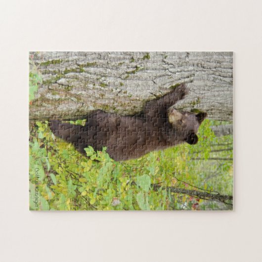 Puzzle Ours CUB dans l'arbre (Horizontal)