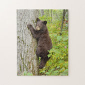 Puzzle Ours CUB dans l'arbre (Vertical)