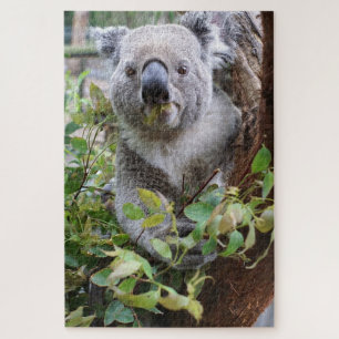 Puzzle Ours de Koala