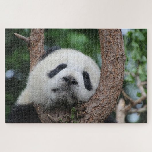 Puzzle Ours de panda couché sur un arbre (Horizontal)