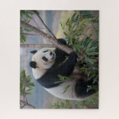Puzzle Ours de panda dans un arbre (Vertical)