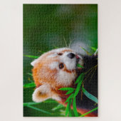 Puzzle Ours De Panda Rouge. (Vertical)