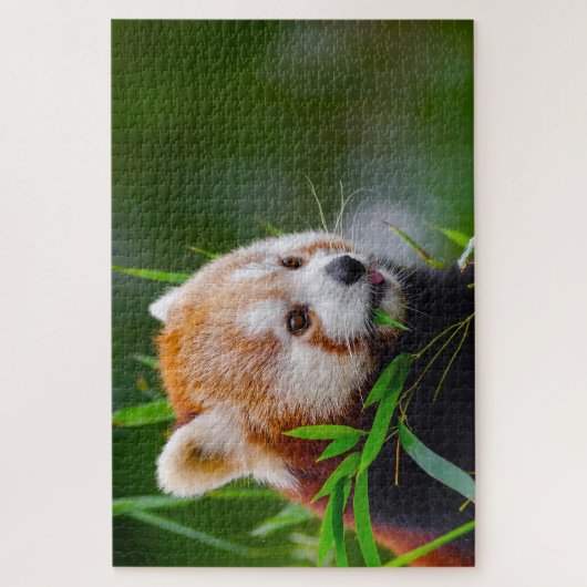Puzzle Ours De Panda Rouge. (Vertical)