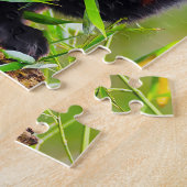 Puzzle Ours De Panda Rouge. (Côté)