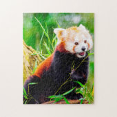 Puzzle Ours De Panda Rouge. (Vertical)