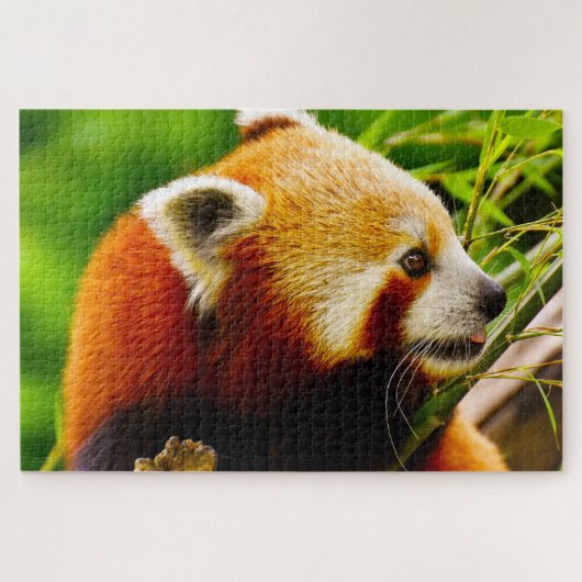 Puzzle Ours De Panda Rouge. (Horizontal)