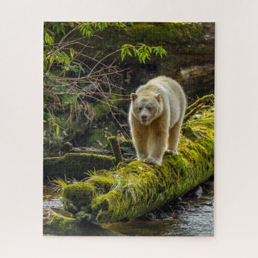 Puzzle Ours d'esprit blanc | Colombie-Britannique, Canada (Vertical)