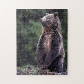 Puzzle Ours gris debout (Vertical)