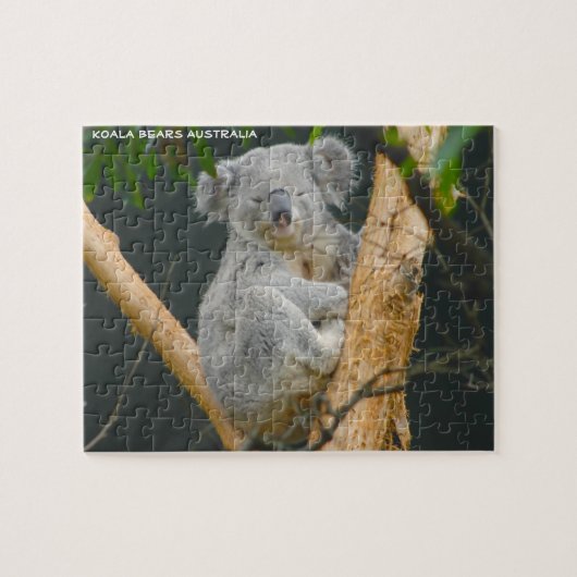 Puzzle Ours Kaola Australie (Horizontal)
