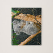 Puzzle Ours Kaola Australie (Vertical)