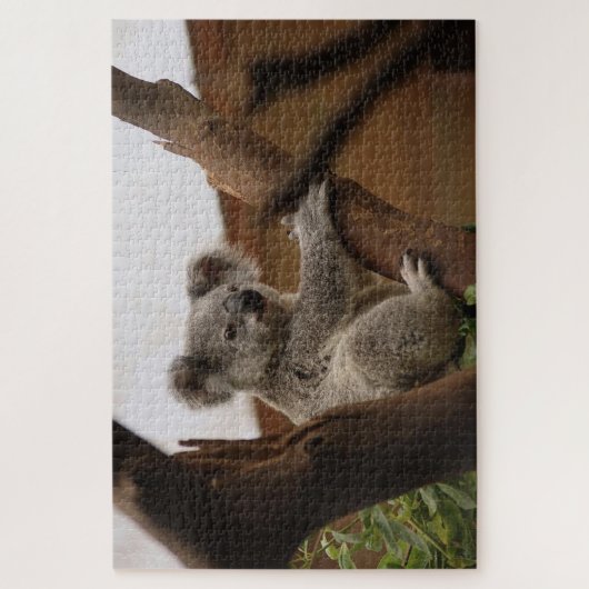 Puzzle Ours koala gris sur un arbre (Vertical)
