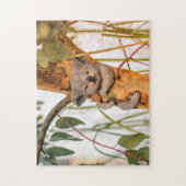 Puzzle ours koala mignon (Vertical)