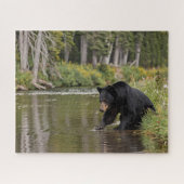 Puzzle Ours noir à la rivière (Horizontal)