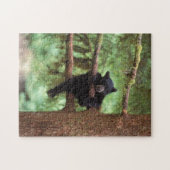 Puzzle ours noir, Ursus americanus, petit dans un arbre (Horizontal)