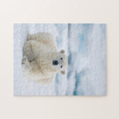 Puzzle Ours polaire adulte sur la glace du pack d'été (Horizontal)