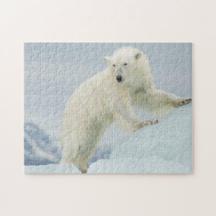 Puzzle Ours polaire en été