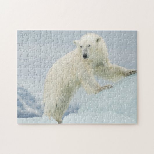 Puzzle Ours polaire en été (Horizontal)