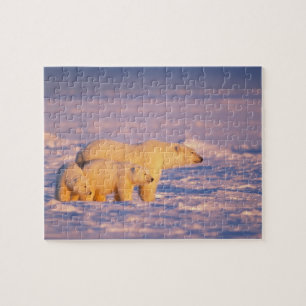 Puzzle Ours polaire femelle avec des oursons de printemps