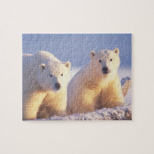Puzzle Ours polaire femelle avec ourson sur la banquise