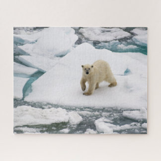 Puzzle Ours polaire sur la glace de la mer arctique à Sva