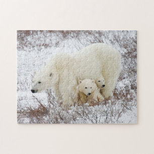 Puzzle Ours polaires femelle et deux oursons