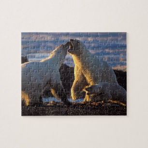 Puzzle Ours polaires femelles avec ourson sur le côté, 10