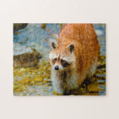 Puzzle Ours Raccoon. (Horizontal)