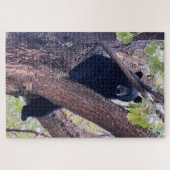 Puzzle Ours sur une branche (Horizontal)