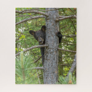 Puzzle Ourson grimpeur d'arbre