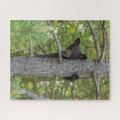 Puzzle Ourson grimpeur d'arbre (Horizontal)