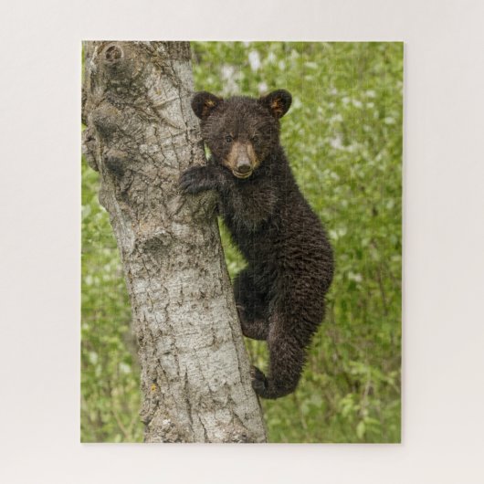 Puzzle Ourson noir dans un arbre (Vertical)