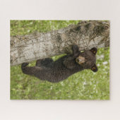 Puzzle Ourson noir dans un arbre (Horizontal)