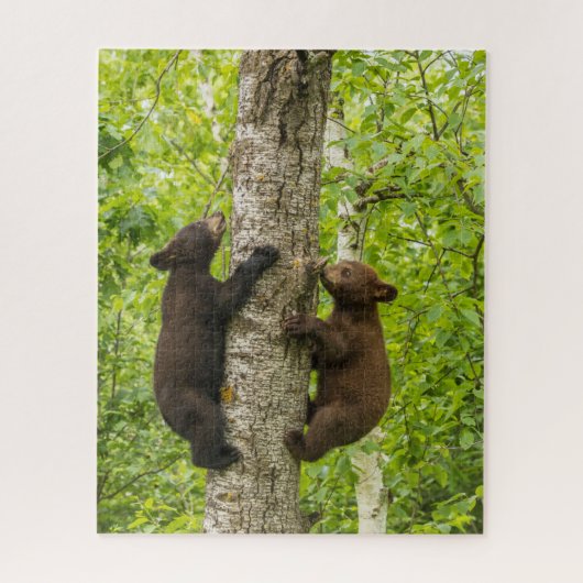 Puzzle Oursons de l'ours noir grimpant à l'arbre (Vertical)