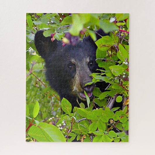 Puzzle Oursons noirs. (Vertical)