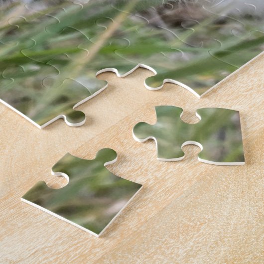 Puzzle Ouvrir les pots d'algues | Graines avec soie | (Côté)