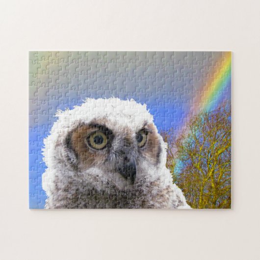 Puzzle - Owl met regenboogachtergrond Legpuzzel (Horizontaal)