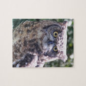 Puzzle Owl vous regarde ! (Horizontal)