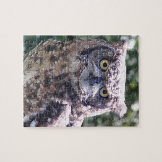 Puzzle Owl vous regarde ! (Horizontal)