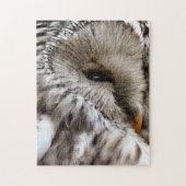 PUZZLE OWLS (Vertical)