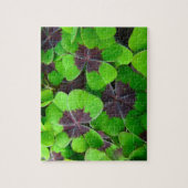 Puzzle Oxalis Feuille - Rouge et vert (Vertical)