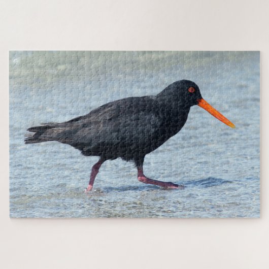 Puzzle OYSTERCATCHER 20x30 POUCES (Horizontal)