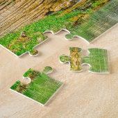 Puzzle Ozarks Waterfall Spring Bluff (Côté)