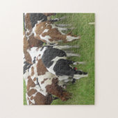Puzzle Pack de vaches mangeant de l'herbe dans les champs (Vertical)